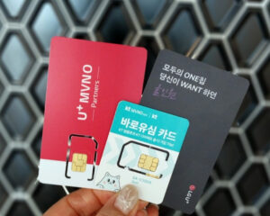 알뜰폰 유심, 셀프개통, 호환성, 인식 오류, 해결, 완벽 가이드